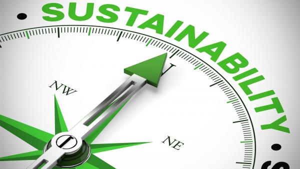 Kompassnadel zeigt auf das Wort Sustainability, symbolisiert Orientierung auf nachhaltige Ergebnisse und langfristige Wirkung von Veränderungsprozessen