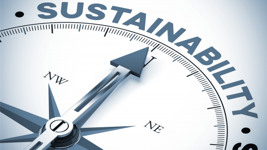 Kompassnadel zeigt auf das Wort Sustainability, symbolisiert Orientierung auf nachhaltige Ergebnisse und langfristige Wirkung von Veränderungsprozessen