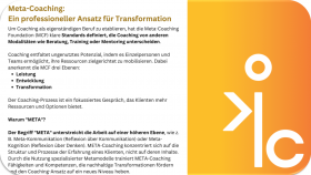 Meta Coaching System (7)
