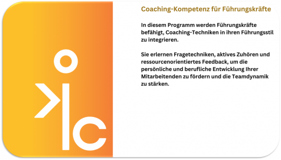 Leadership Coaching 2