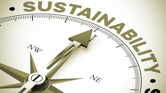 Abschluss und nachhaltige Sicherstellung_Leadership Development_shutterstock_320486975